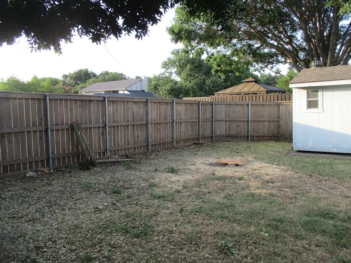 Cleared yard after professional tree removal in Olden